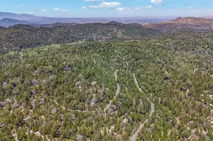 318 Old Toll Rd, Lake Arrowhead, CA 92352 - Photo 39