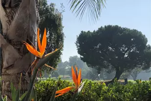 2024 Via Mariposa E, Laguna Woods, CA 92637 - Photo 41