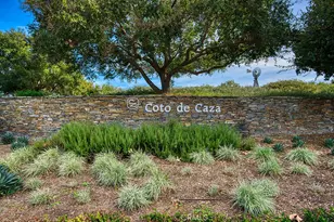 21 Pegasus, Coto de Caza, CA 92679 - Photo 47
