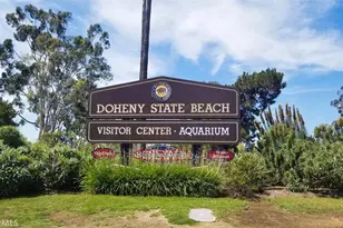 876 Doheny Way, Dana Point, CA 92629 - Photo 37
