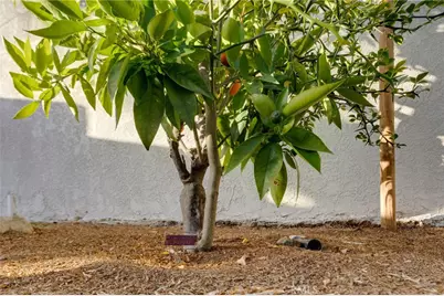 31952 Mill Stream, Trabuco Canyon, CA 92679 - Photo 29
