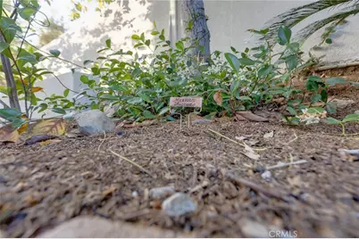 31952 Mill Stream, Trabuco Canyon, CA 92679 - Photo 25