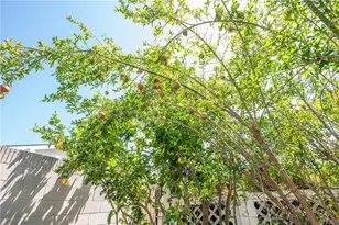 14862 Rattan St, Irvine, CA 92604 - Photo 23