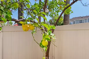 25282 Vista Hermosa, Lake Forest, CA 92630 - Photo 17