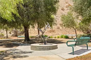 24410 Via Lomas De Yorba, Yorba Linda, CA 92887 - Photo 69