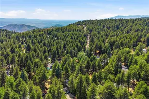 2543 Whispering Pines, Running Springs, CA 92382 - Photo 45