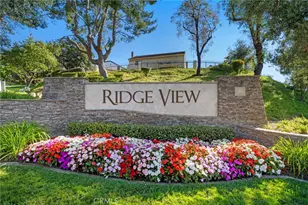 6425 E Shady Valley Ln, Anaheim Hills, CA 92807 - Photo 63