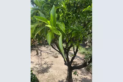 [Address not provided], Laguna Beach, CA 92651 - Photo 51