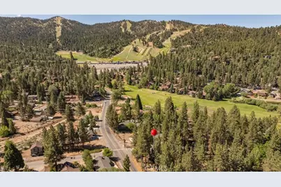 43160 Sheephorn Road, Big Bear Lake, CA 92315 - Photo 39