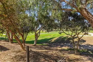 48 Paseo Verde, San Clemente, CA 92673 - Photo 33
