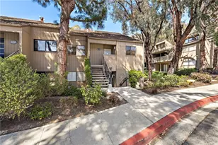 31287 E Nine Dr, Laguna Niguel, CA 92677 - Photo 43