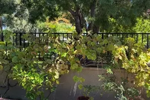27911 27911 Freeport, Mission Viejo, CA 92692 - Photo 5