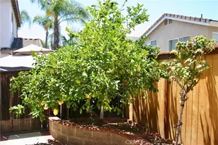 27 Tradition, Rancho Santa Margarita, CA 92688 - Photo 31