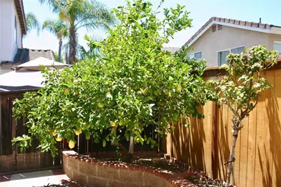27 Tradition, Rancho Santa Margarita, CA 92688 - Photo 29