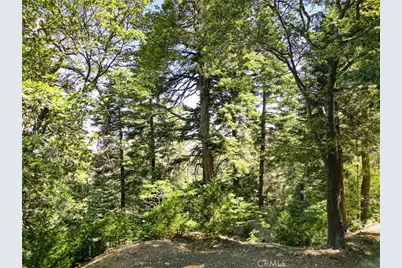 746 Blue Ridge Drive, Lake Arrowhead, CA 92385 - Photo 11