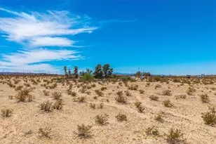 3633 Bluegrass, 29 Palms MCB, CA 92277 - Photo 51