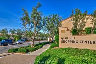 95 Canopy, Irvine, CA 92603 - Photo 53