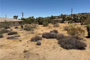 8001 Aster Ave, Yucca Valley, CA 92284 - Photo 1