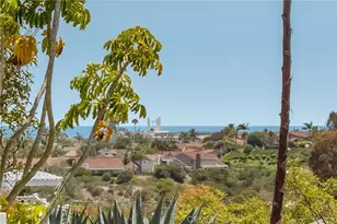 33211 Ocean Hill Dr, Dana Point, CA 92629 - Photo 21