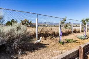 8650 Cowberry Rd, Phelan, CA 92371 - Photo 61