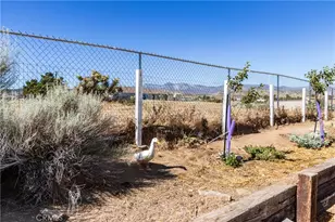 8650 Cowberry Rd, Phelan, CA 92371 - Photo 57