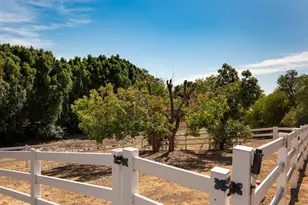 31899 Calle De Talar, Bonsall, CA 92003 - Photo 43