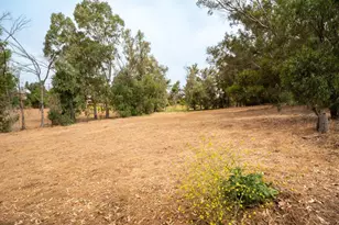 0 McDonald, Fallbrook, CA 92028 - Photo 9
