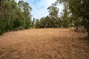 0 McDonald, Fallbrook, CA 92028 - Photo 7