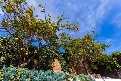 2808 Terry Rd, Laguna Beach, CA 92651 - Photo 39