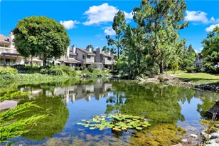 27025 Mill Pond, Dana Point, CA 92624 - Photo 51