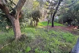 2536 Montclair, San Diego, CA 92104 - Photo 21