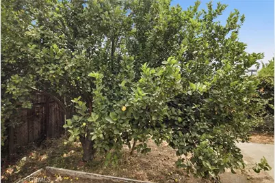 206 Acacia Street, Pomona, CA 91767 - Photo 33