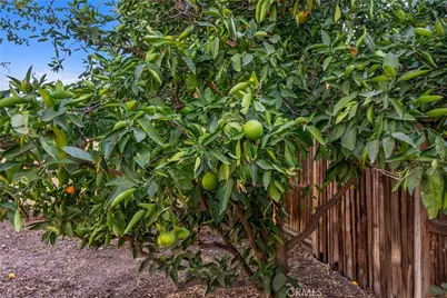 450 W 2nd, Tustin, CA 92780 - Photo 39