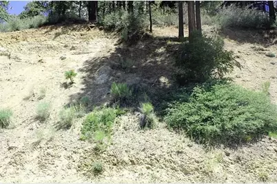 801 Menlo, Big Bear Lake, CA 92315 - Photo 3