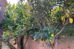 1130 S Douglas St, Santa Ana, CA 92704 - Photo 31
