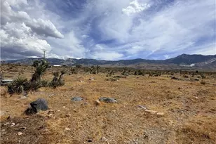31077 Azurite, Lucerne Valley, CA 92356 - Photo 5