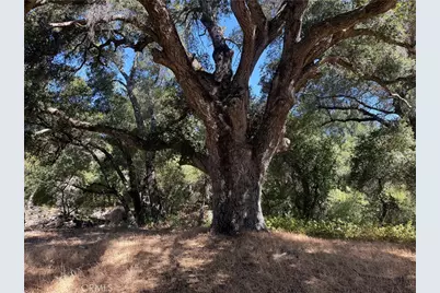 36000 Tenaja Truck Trail, Ortega Mountain, CA 92530 - Photo 19