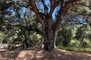 36000 Tenaja Truck Trail, Ortega Mountain, CA 92530 - Photo 19