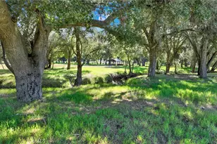 36000 Tenaja Truck Trail, Ortega Mountain, CA 92530 - Photo 5