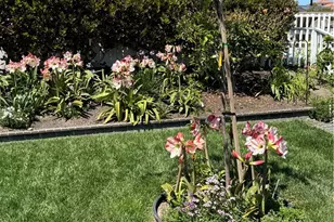 1816 E Pointe, Carlsbad, CA 92008 - Photo 7
