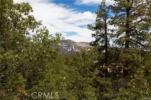 1186 Alameda Ct, Big Bear Lake, CA 92314 - Photo 21