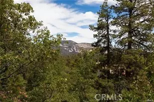 1186 Alameda Ct, Big Bear Lake, CA 92314 - Photo 21