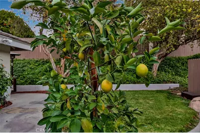 19412 Shadow Hill, Yorba Linda, CA 92886 - Photo 41