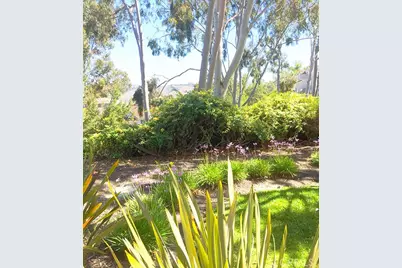 55 Fleurance, Laguna Niguel, CA 92677 - Photo 35
