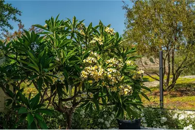 51 Thrush, Irvine, CA 92618 - Photo 61
