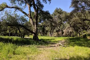 30221 Old Stage Rd, Trabuco Canyon, CA 92676 - Photo 1