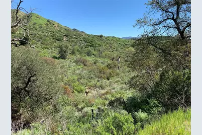 30221 4 Lot Old Stage Road, Trabuco Canyon, CA 92676 - Photo 3