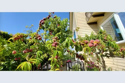 7901 Berger Avenue, Playa del Rey, CA 90293 - Photo 49