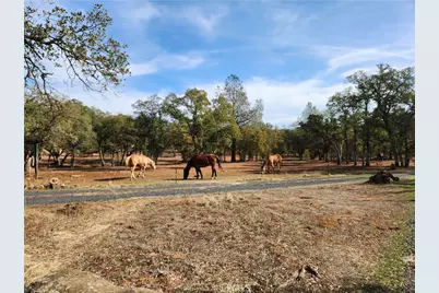 3571 Oro Bangor, Oroville, CA 95966 - Photo 53