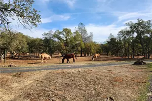 3571 Oro Bangor, Oroville, CA 95966 - Photo 53